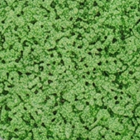 Yellow Green